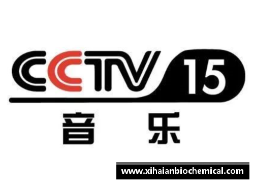 中央CCTV4直播在线观看精彩节目推荐