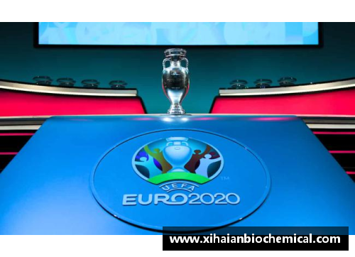 2024欧洲杯预选赛全面解读与赛程安排