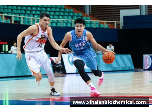 CBA云南队新星：探索南方篮球的兴起